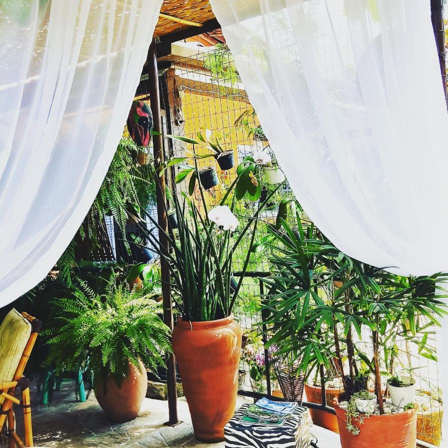 Recanto Toca Das Plantas De Ilhabela II מראה חיצוני תמונה