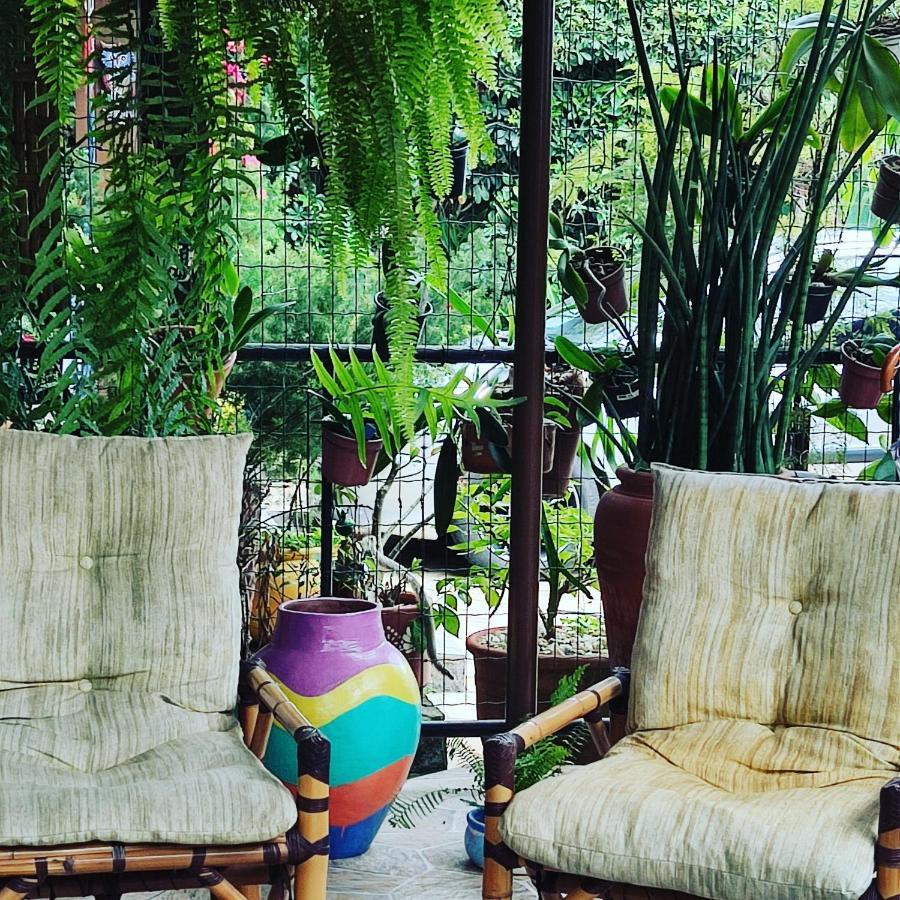 Recanto Toca Das Plantas De Ilhabela II מראה חיצוני תמונה