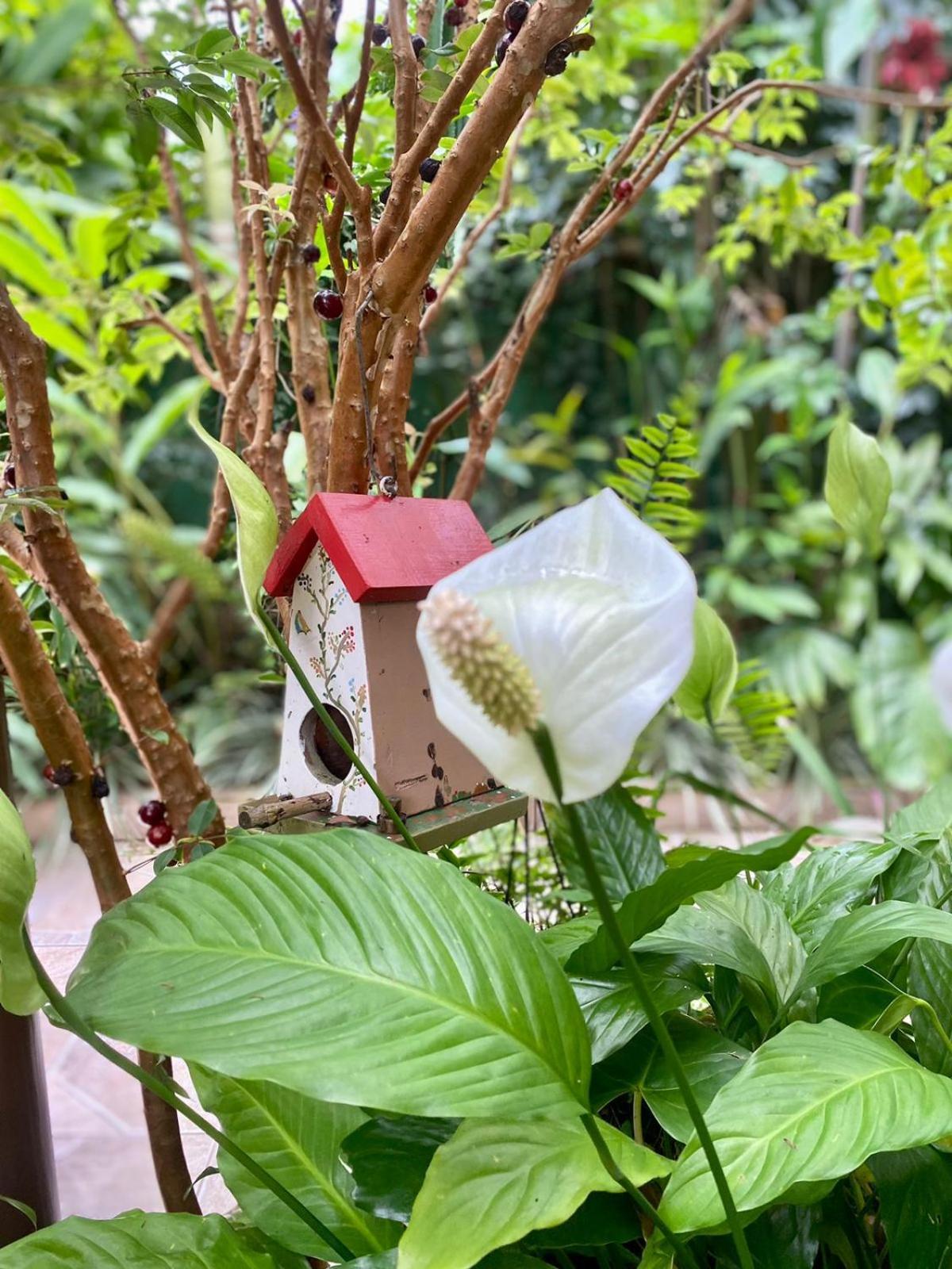 Recanto Toca Das Plantas De Ilhabela II חדר תמונה
